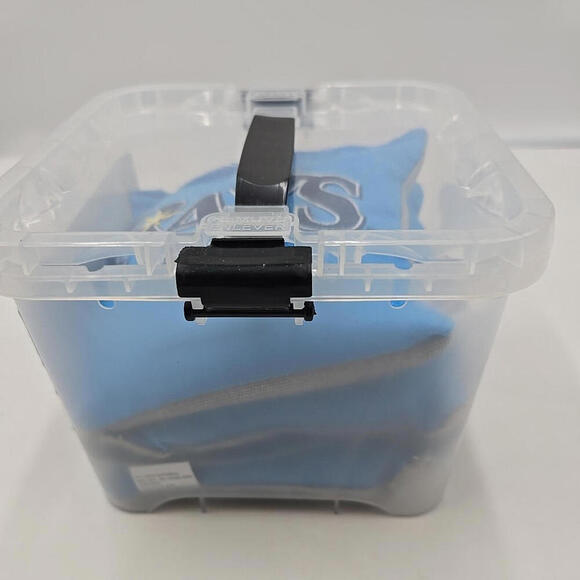 Tampa‎ Bay Rays MLB Corn Hole Bean Bags (SET OF 4) with Case - Picture 6 of 8